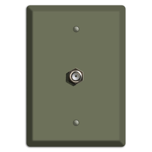 Baxter Eucalyptus Cable Wallplate