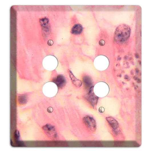 Trypanosoma Cruzi Heart 2 Pushbutton Wallplate