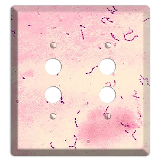 Streptococcus Mutans 2 Pushbutton Wallplate