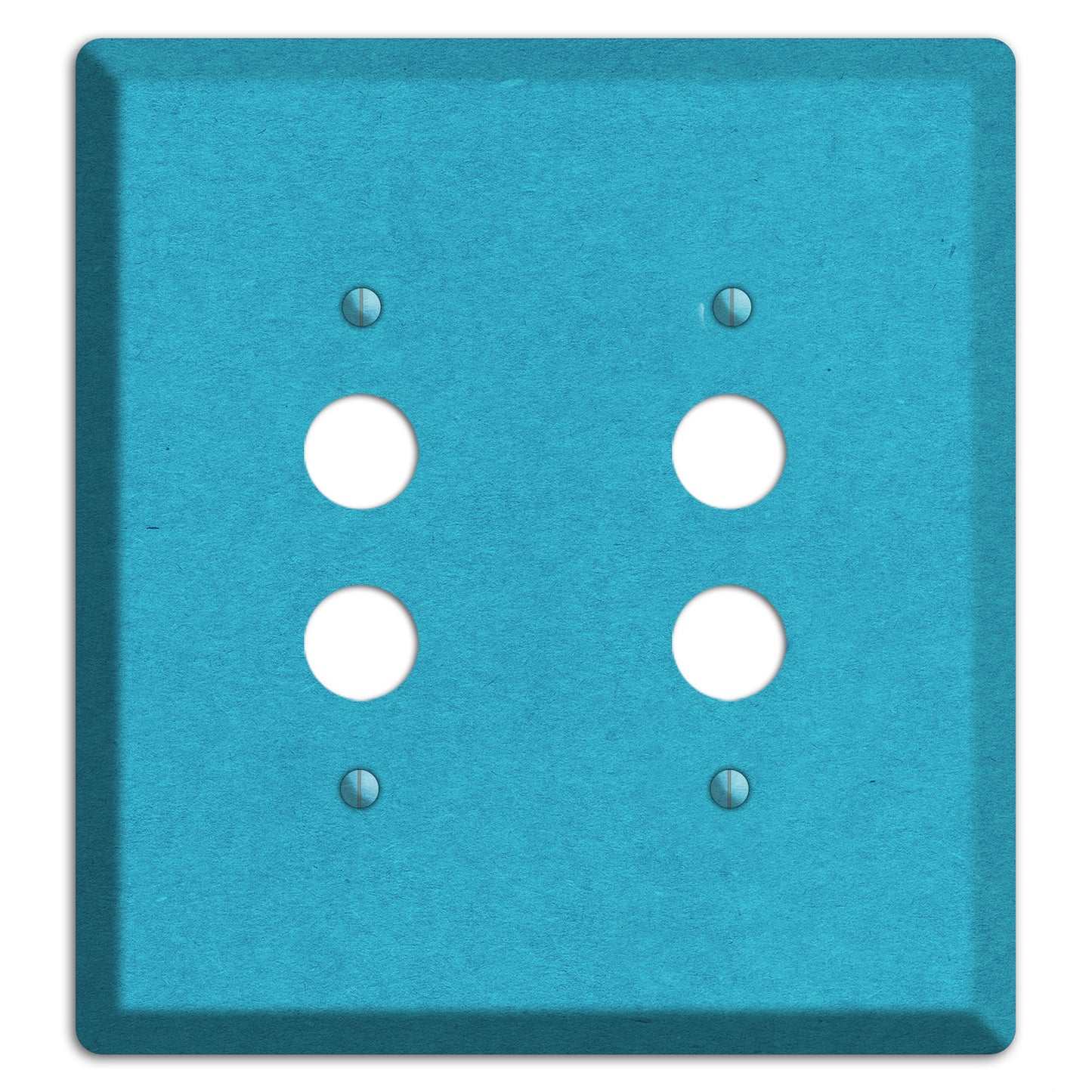 Scooter Kraft 2 Pushbutton Wallplate