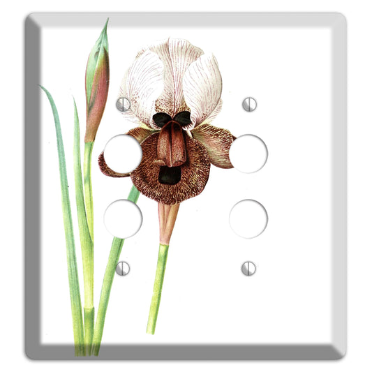 White iris 2 Pushbutton Wallplate