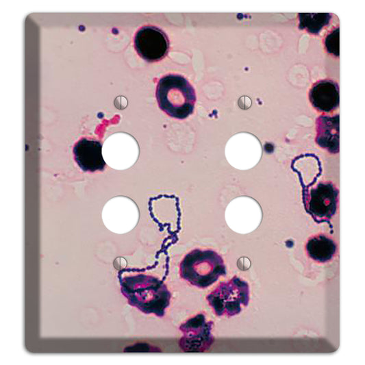 Streptococcus Viridans 2 Pushbutton Wallplate