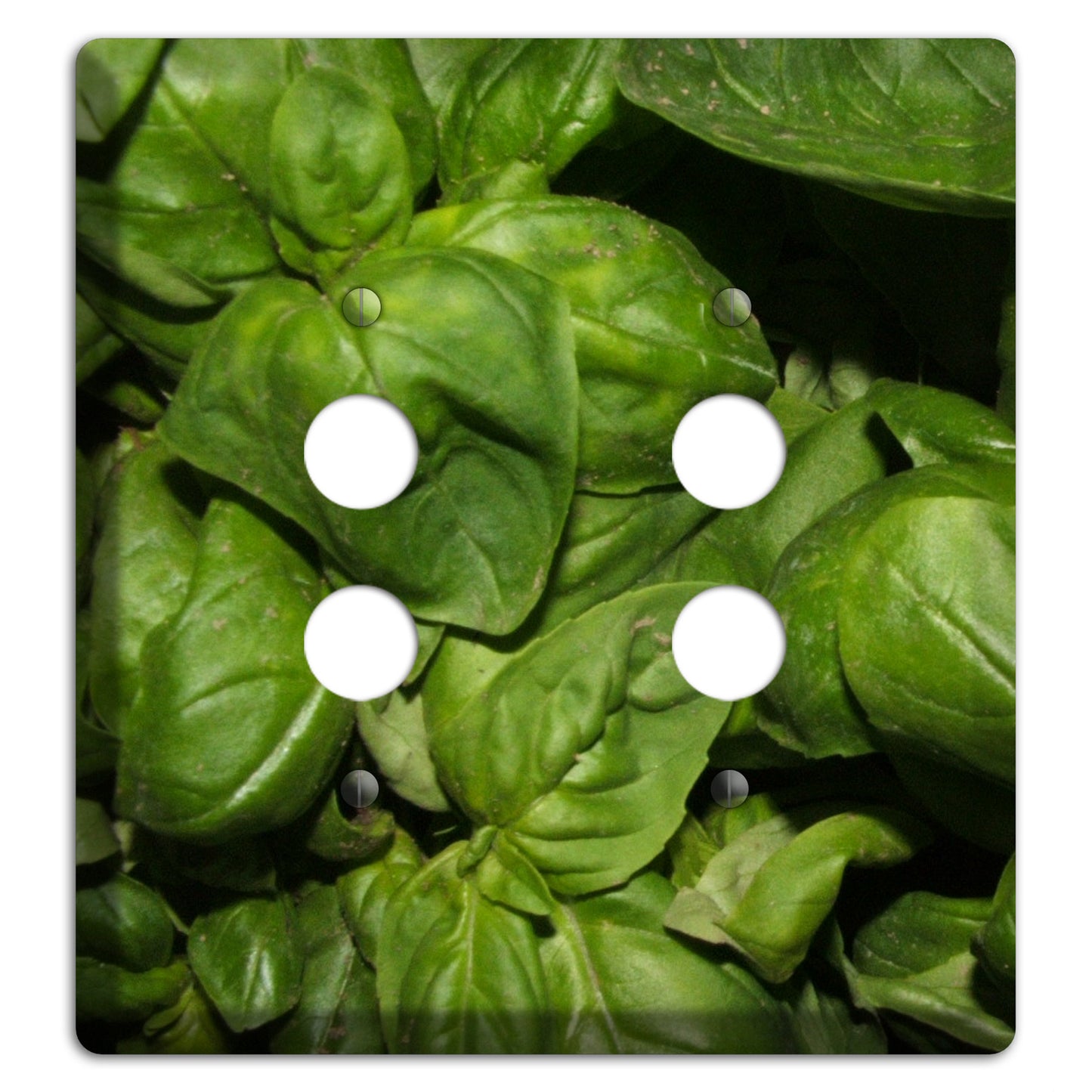 Basil 2 Pushbutton Wallplate