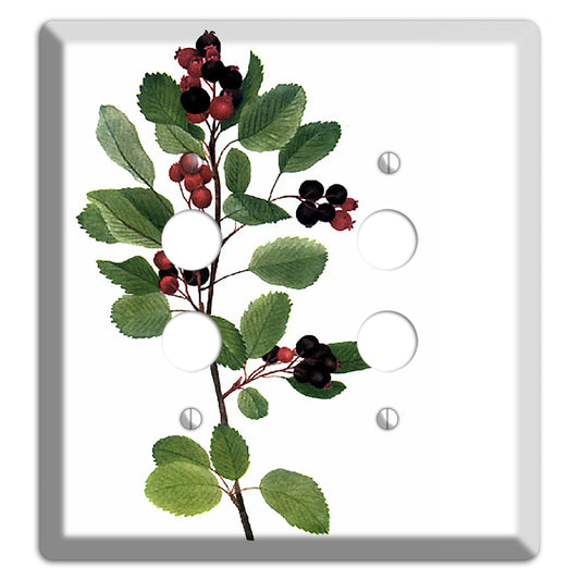 Amelanchier Ainifolia 2 Pushbutton Wallplate