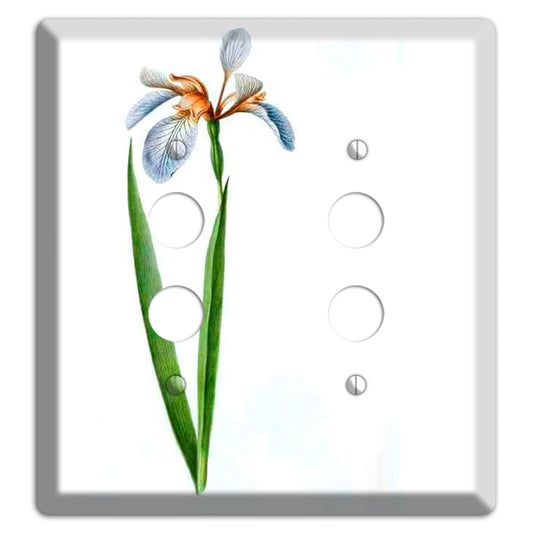 White Iris 2 2 Pushbutton Wallplate