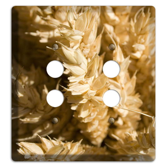 Wheat 2 Pushbutton Wallplate