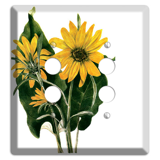 Balsamorhiza Sagittata 2 Pushbutton Wallplate