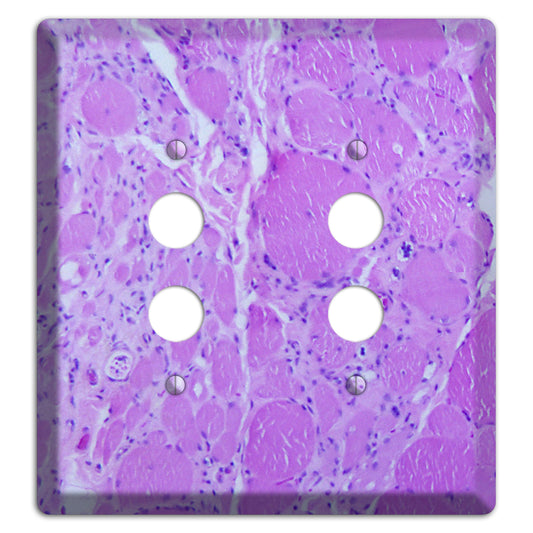 Poliovirus Myotonic Dystrophic 2 Pushbutton Wallplate