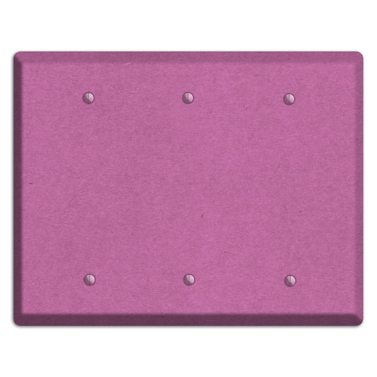 Tapestry Kraft 3 Blank Wallplate