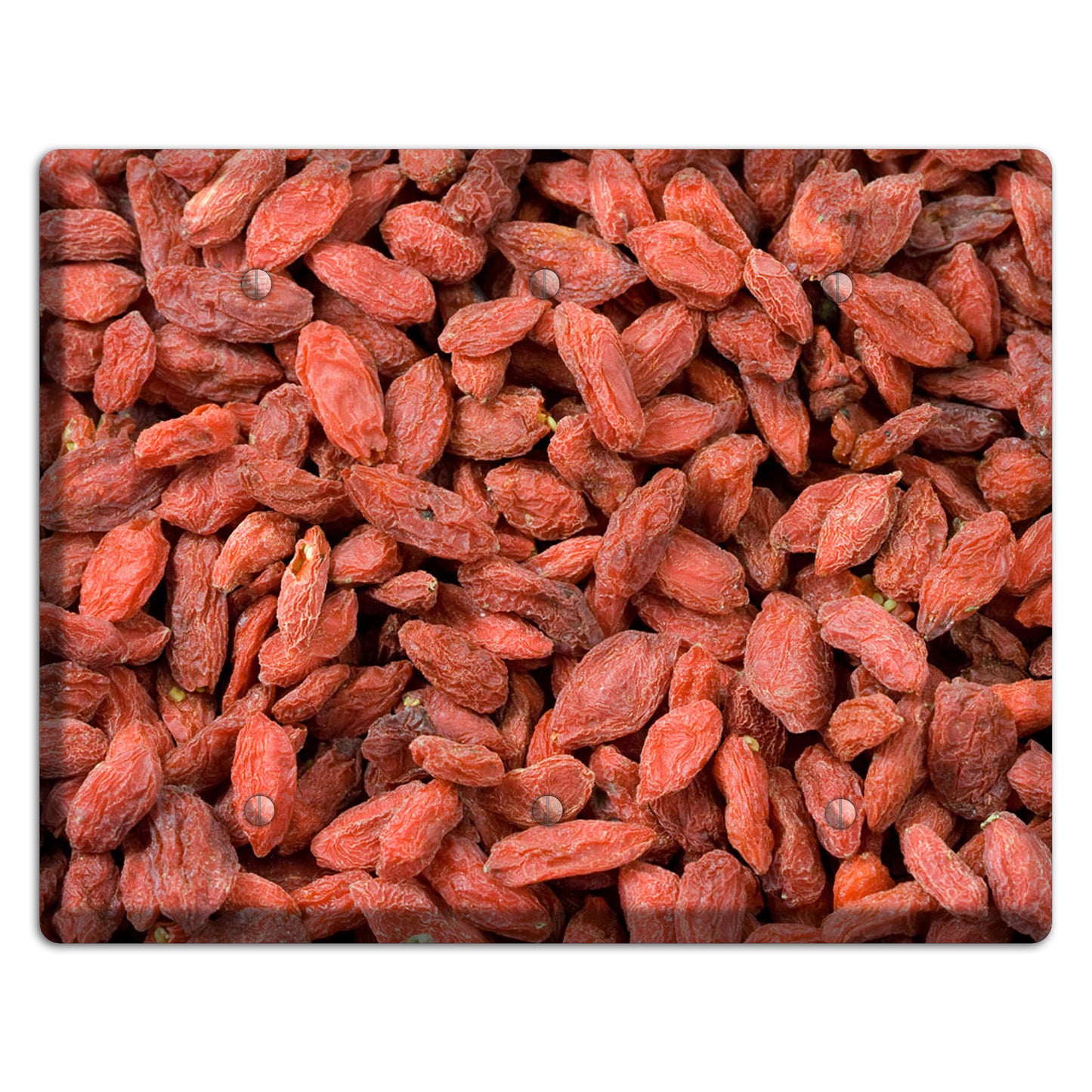 Goji Berries 3 Blank Wallplate