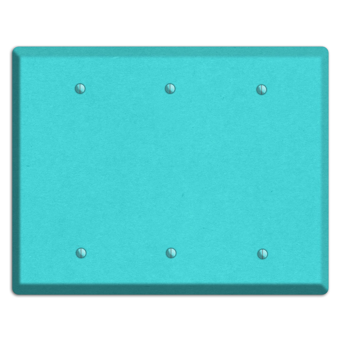 Turquoise Kraft 3 Blank Wallplate