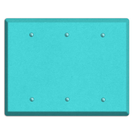 Turquoise Kraft 3 Blank Wallplate