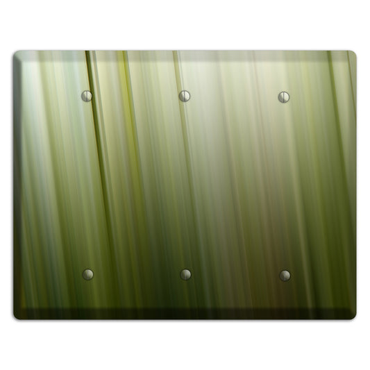 Olive Ray of Light 2 3 Blank Wallplate