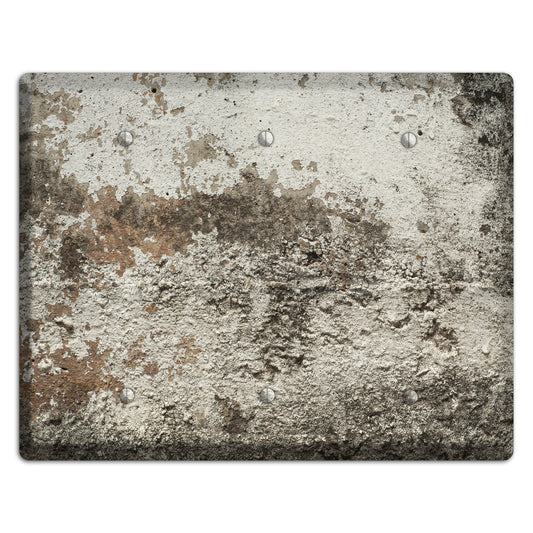 Old Concrete 12 3 Blank Wallplate