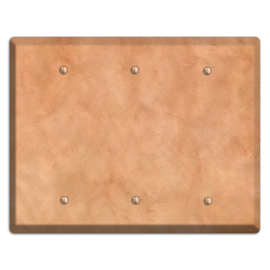 Aged Paper 12 3 Blank Wallplate