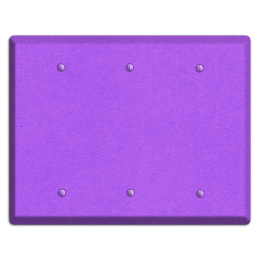 Dark Orchid Kraft 3 Blank Wallplate