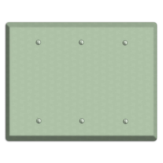 Sage Tiny Cartouche 3 Blank Wallplate