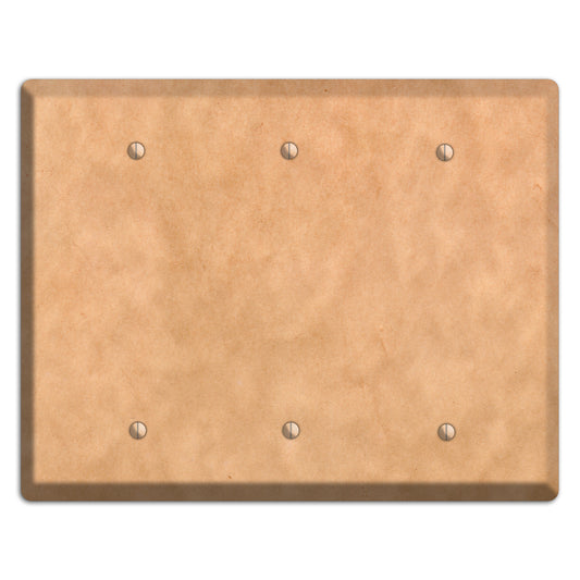 Aged Paper 10 3 Blank Wallplate