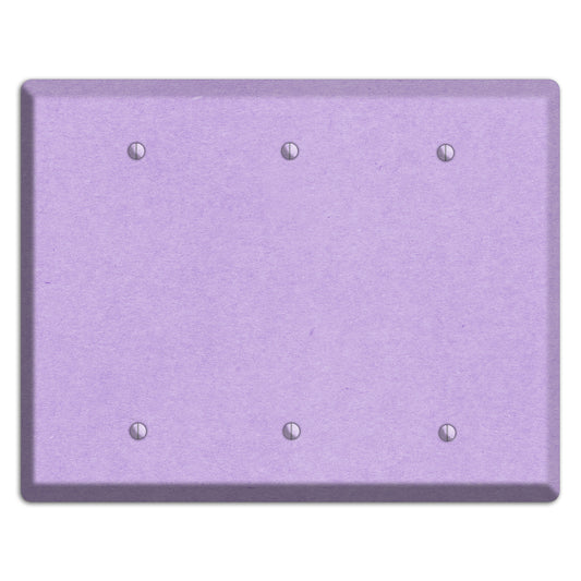 Wisteria Kraft 3 Blank Wallplate