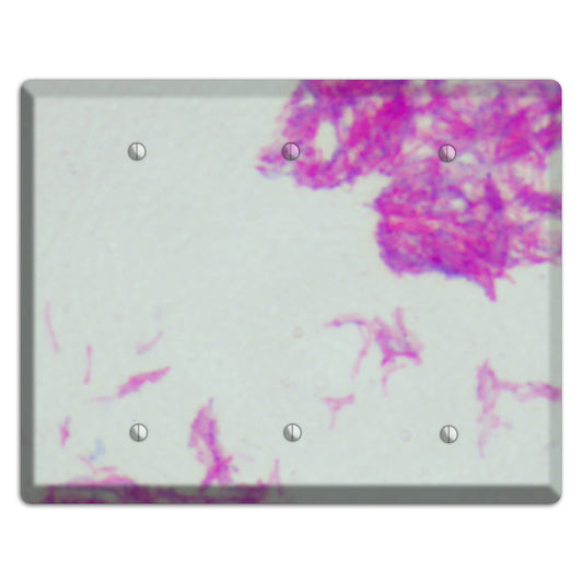 Mycobacterium Bovis 3 Blank Wallplate