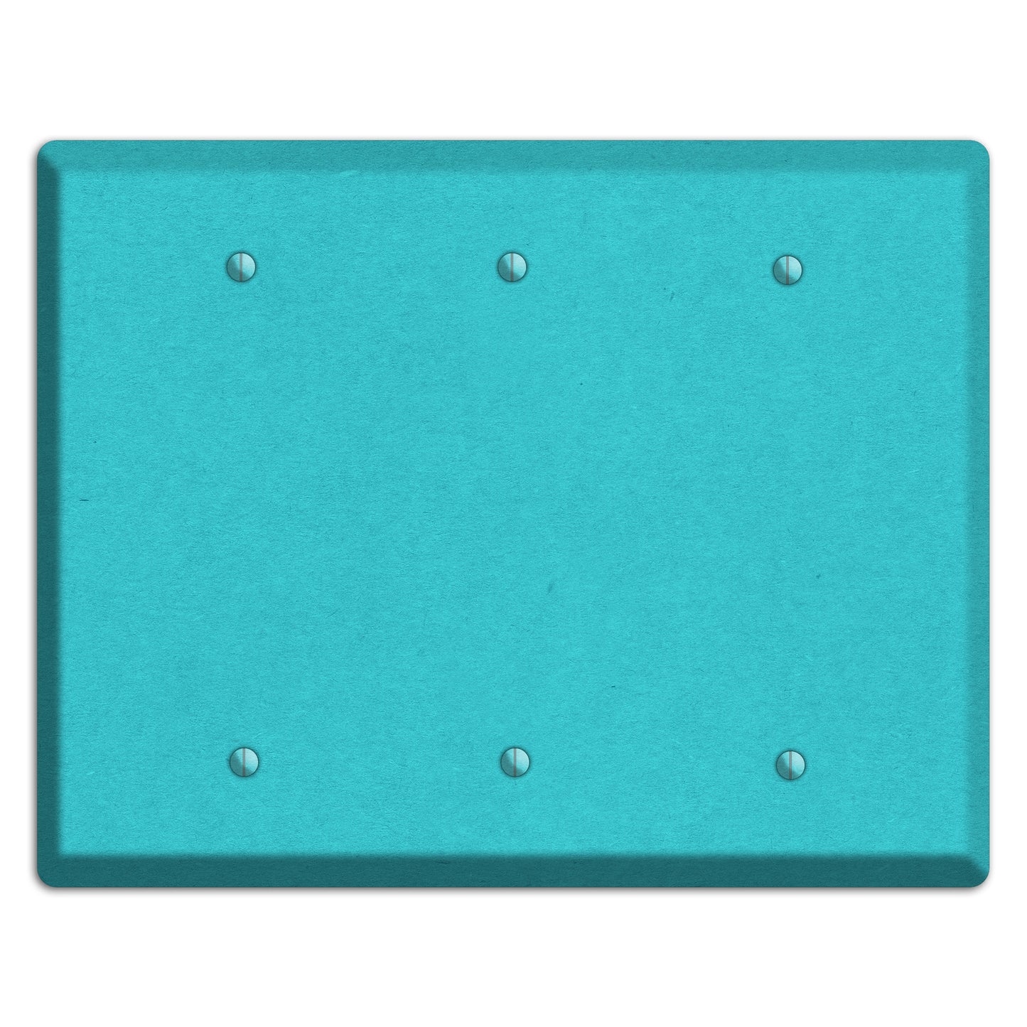 Medium Turquoise Kraft 3 Blank Wallplate