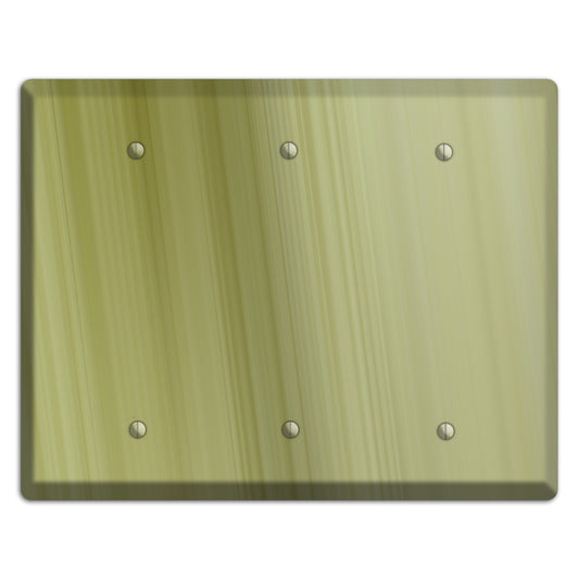 Olive Ray of Light 3 Blank Wallplate