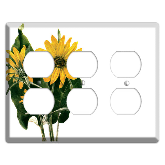 Balsamorhiza Sagittata 3 Duplex Wallplate