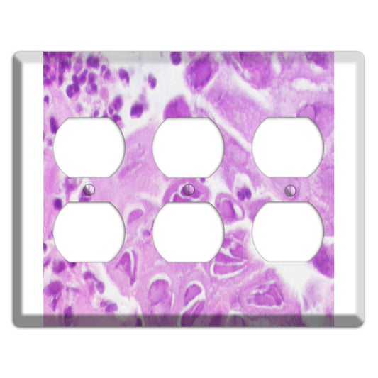 Esophagus Herpes 3 Duplex Wallplate