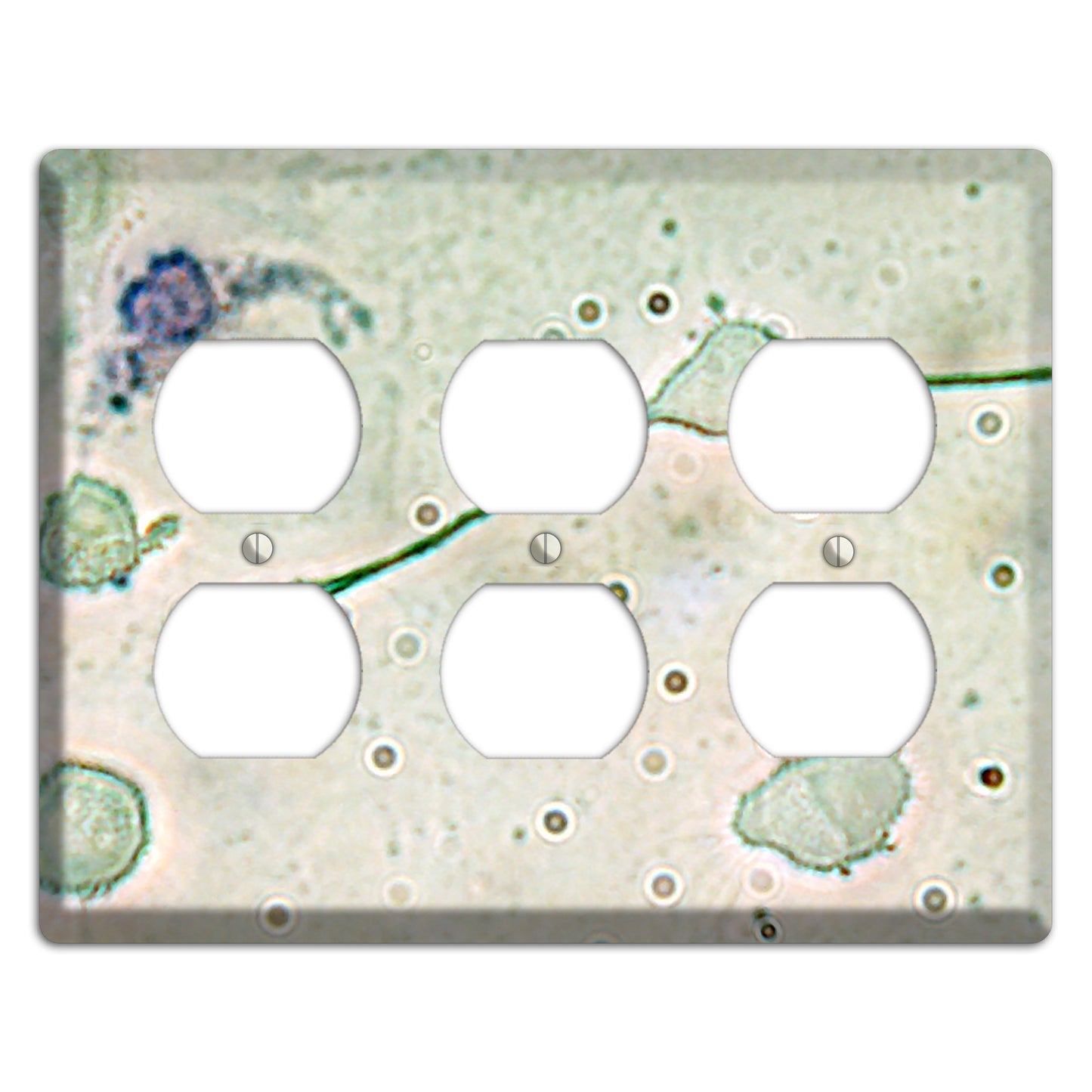 Macrophage 3 Duplex Wallplate