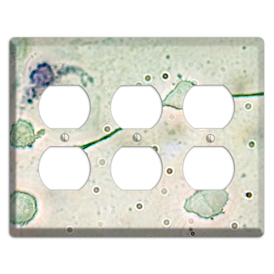 Macrophage 3 Duplex Wallplate