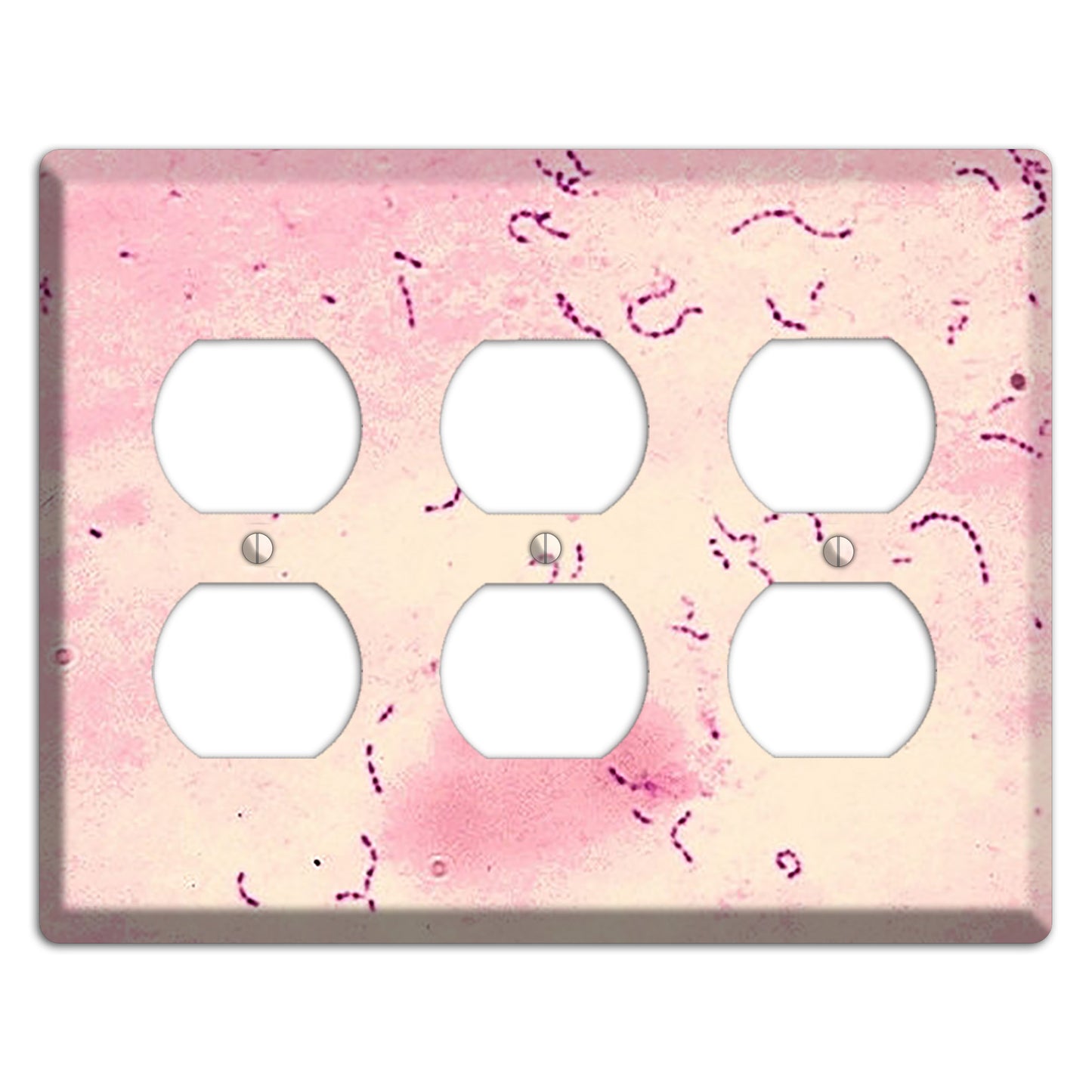 Streptococcus Mutans 3 Duplex Wallplate