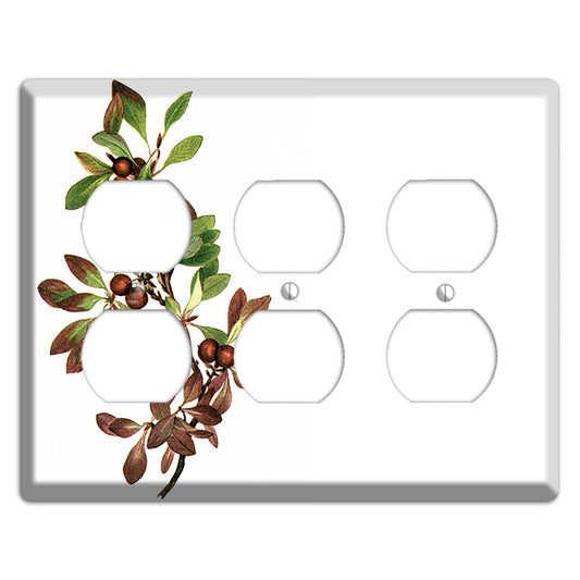 Arietustaphylos Alpha 3 Duplex Wallplate