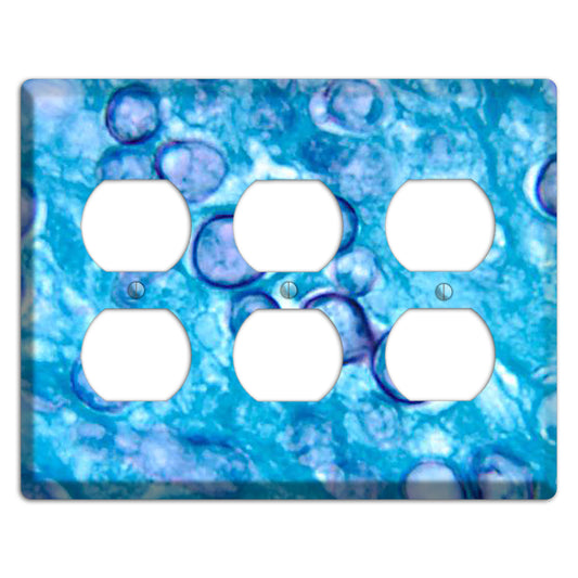 Histoplasma Capsulatum Duboisii 3 Duplex Wallplate