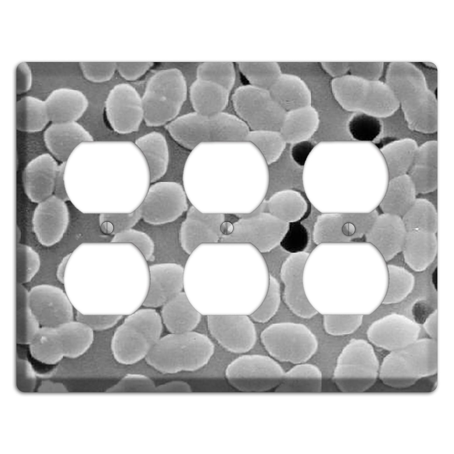 Entercoccus 3 Duplex Wallplate