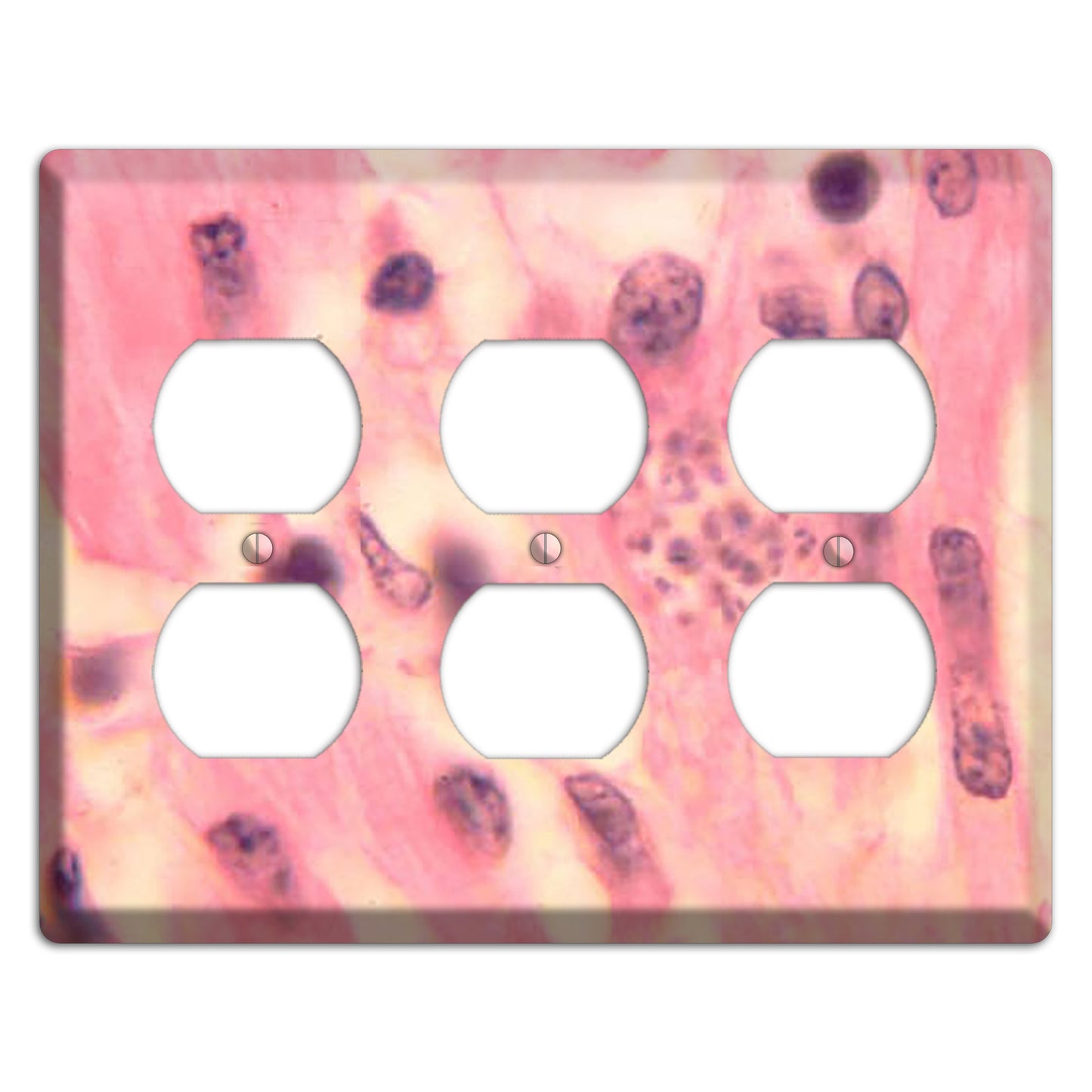 Trypanosoma Cruzi Heart 3 Duplex Wallplate