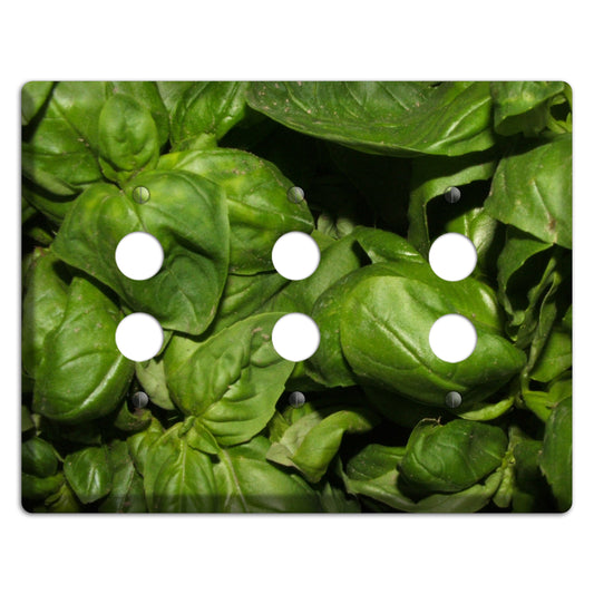 Basil 3 Pushbutton Wallplate