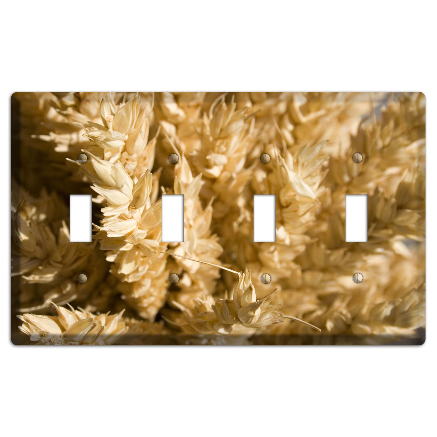 Wheat 4 Toggle Wallplate