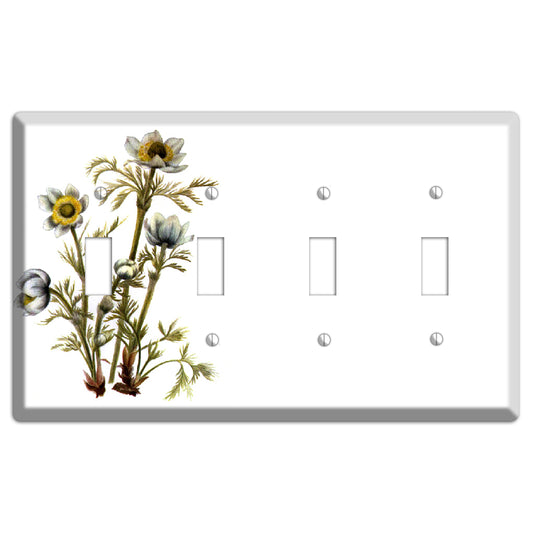 Aenmone Occitentalis 4 Toggle Wallplate