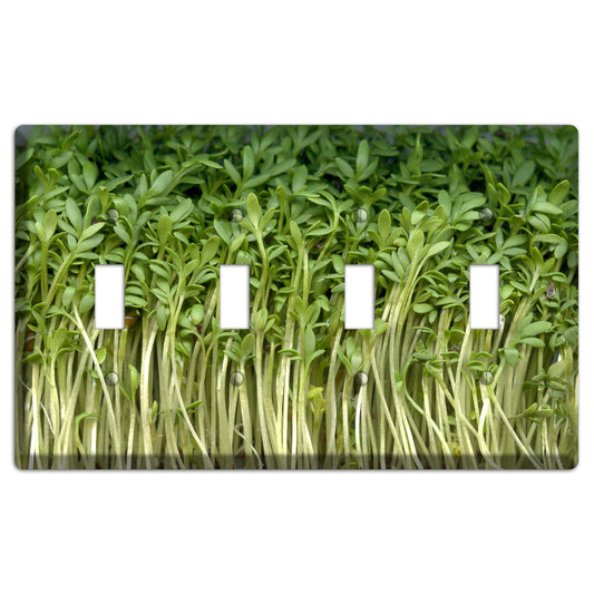 Sprouts 4 Toggle Wallplate