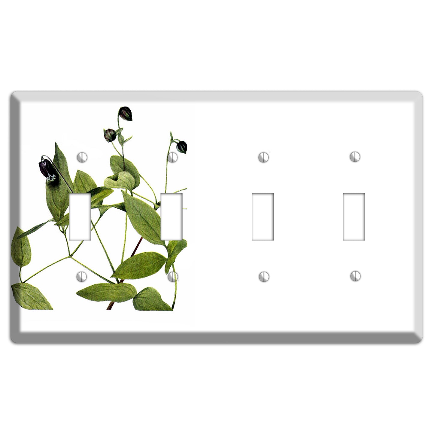 Clematis Viorna 4 Toggle Wallplate