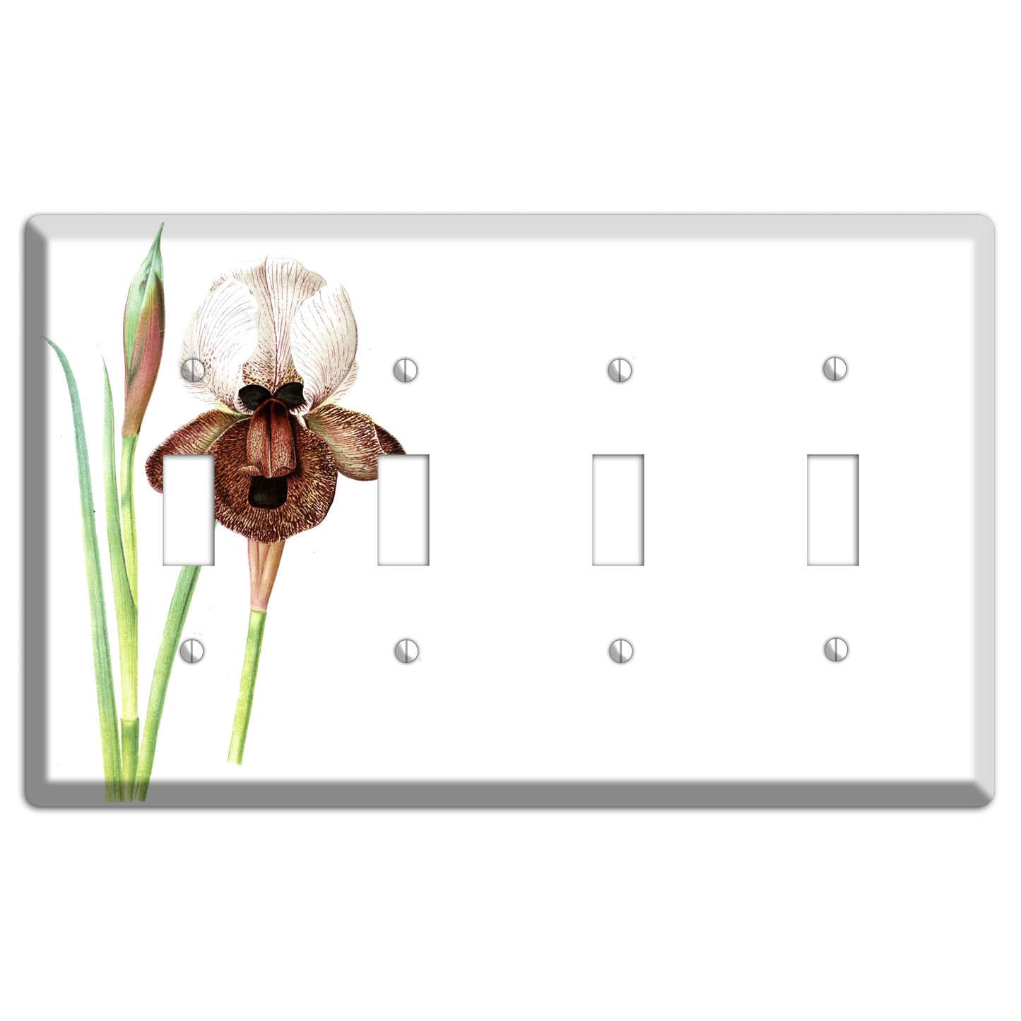 White iris 4 Toggle Wallplate