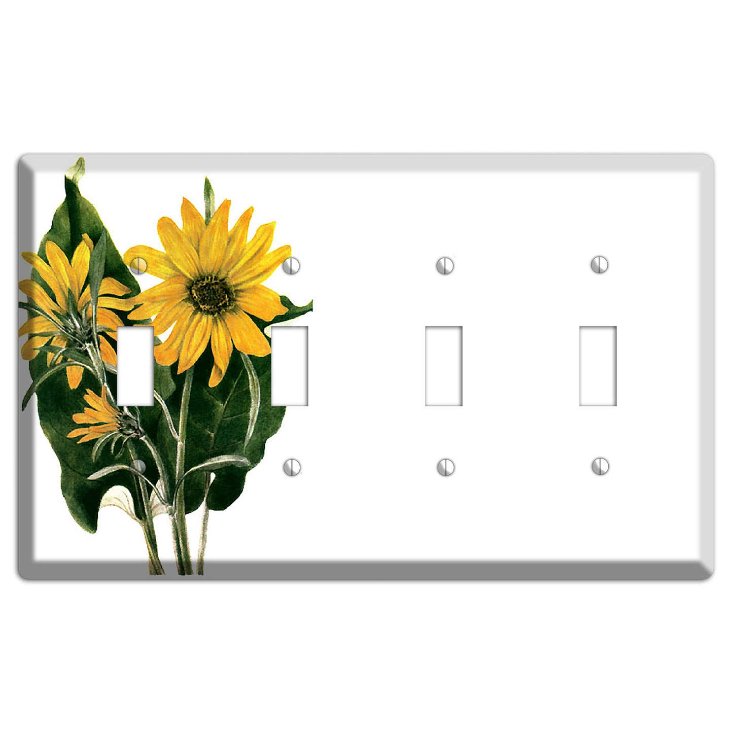 Balsamorhiza Sagittata 4 Toggle Wallplate