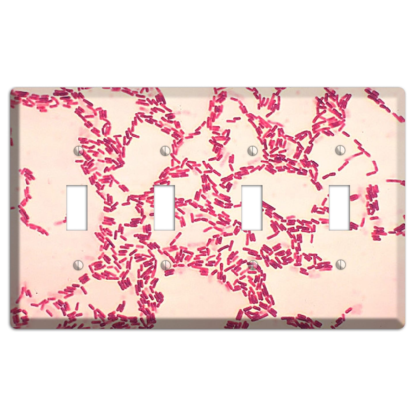 Bacillus Coagulans 4 Toggle Wallplate