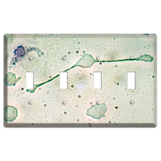 Macrophage 4 Toggle Wallplate