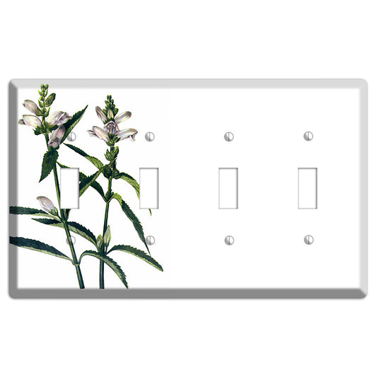 Chelone Glabra 4 Toggle Wallplate