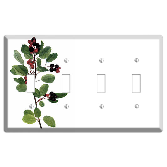 Amelanchier Ainifolia 4 Toggle Wallplate