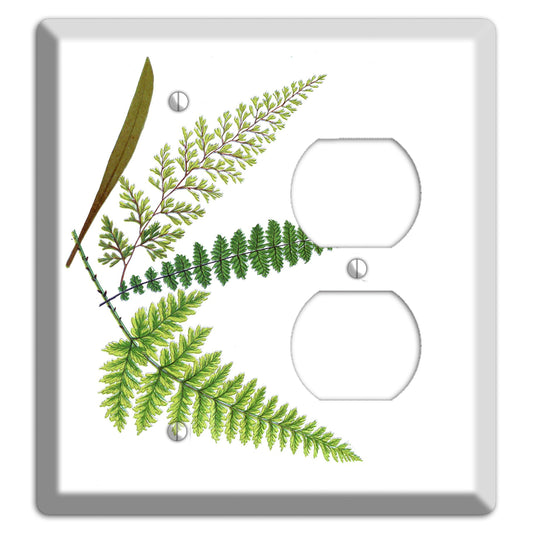 Ferns Blank / Duplex Wallplate