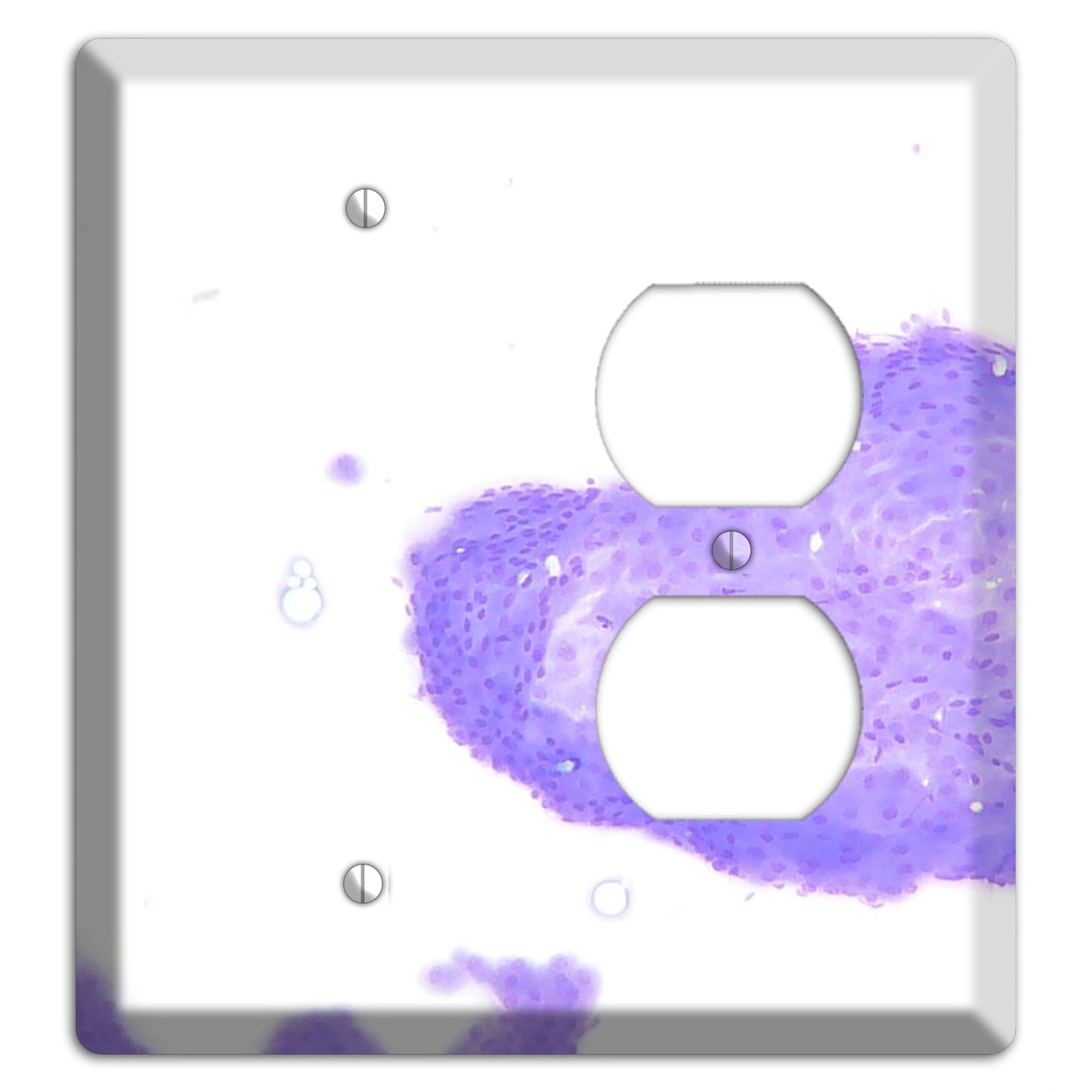 Perianal Gland Tumor Cytology Blank / Duplex Wallplate