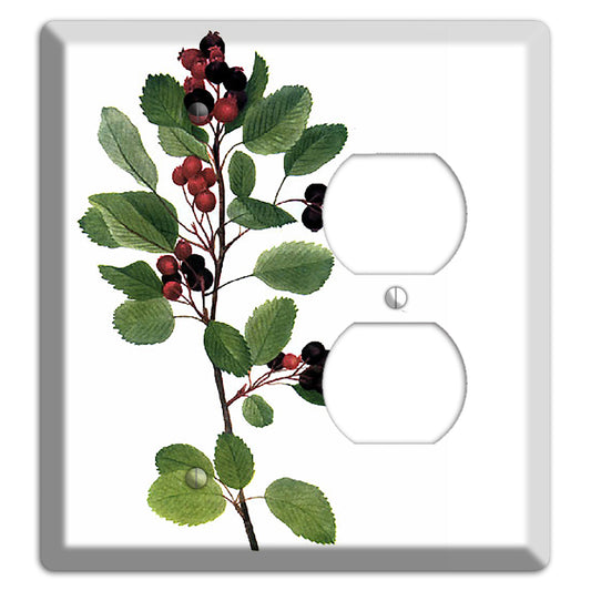 Amelanchier Ainifolia Blank / Duplex Wallplate