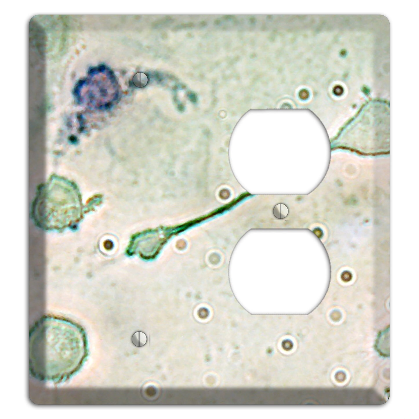 Macrophage Blank / Duplex Wallplate